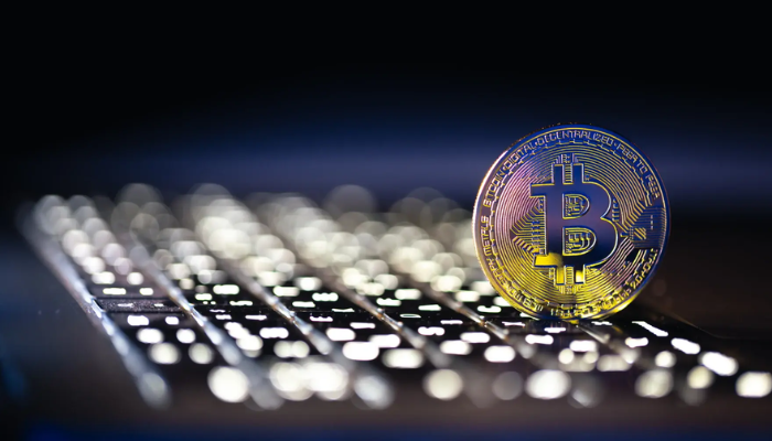 biitland.com stablecoins